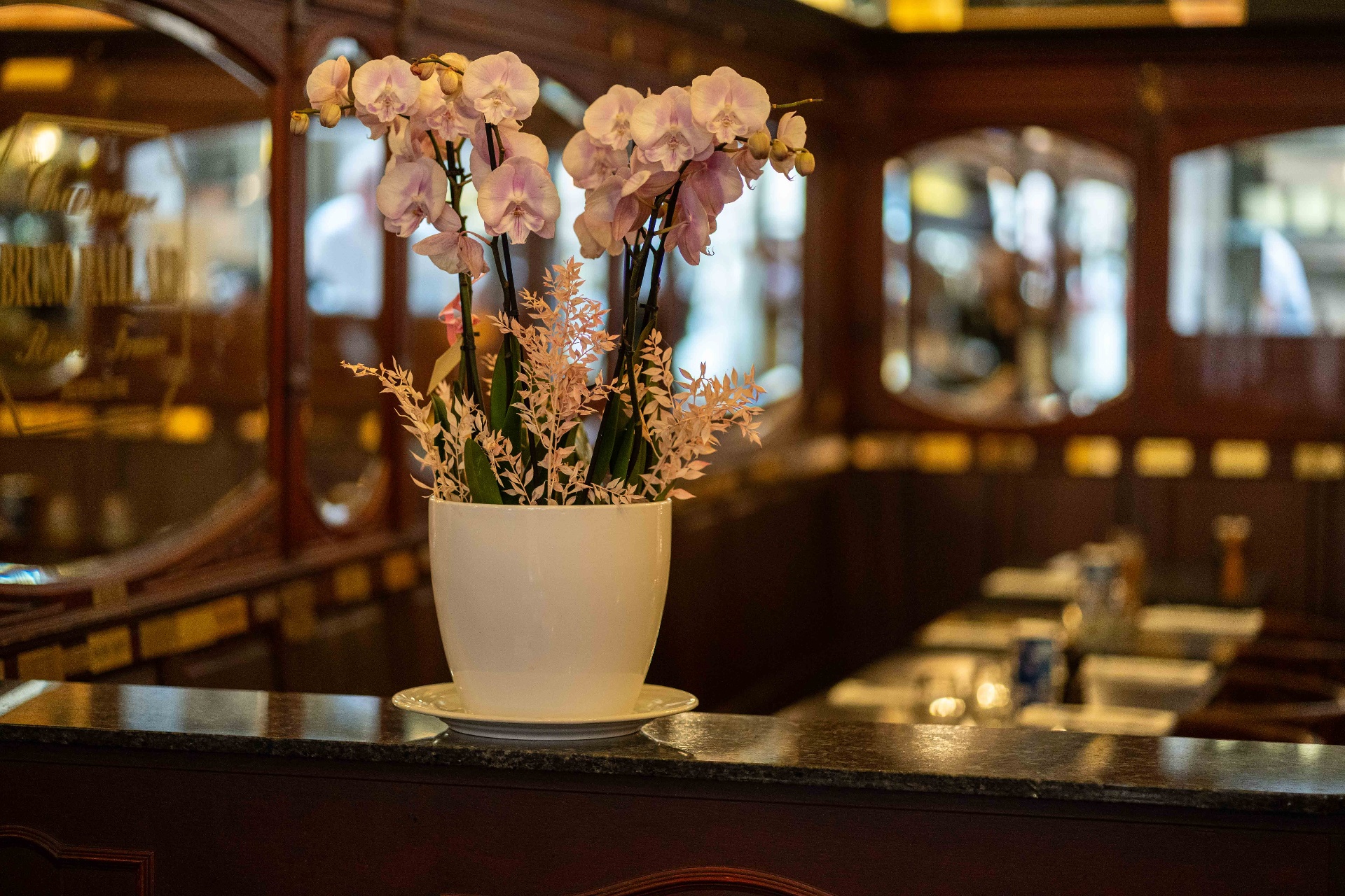 Orchidées posées sur le bar, devant les miroirs ovales de la brasserie
