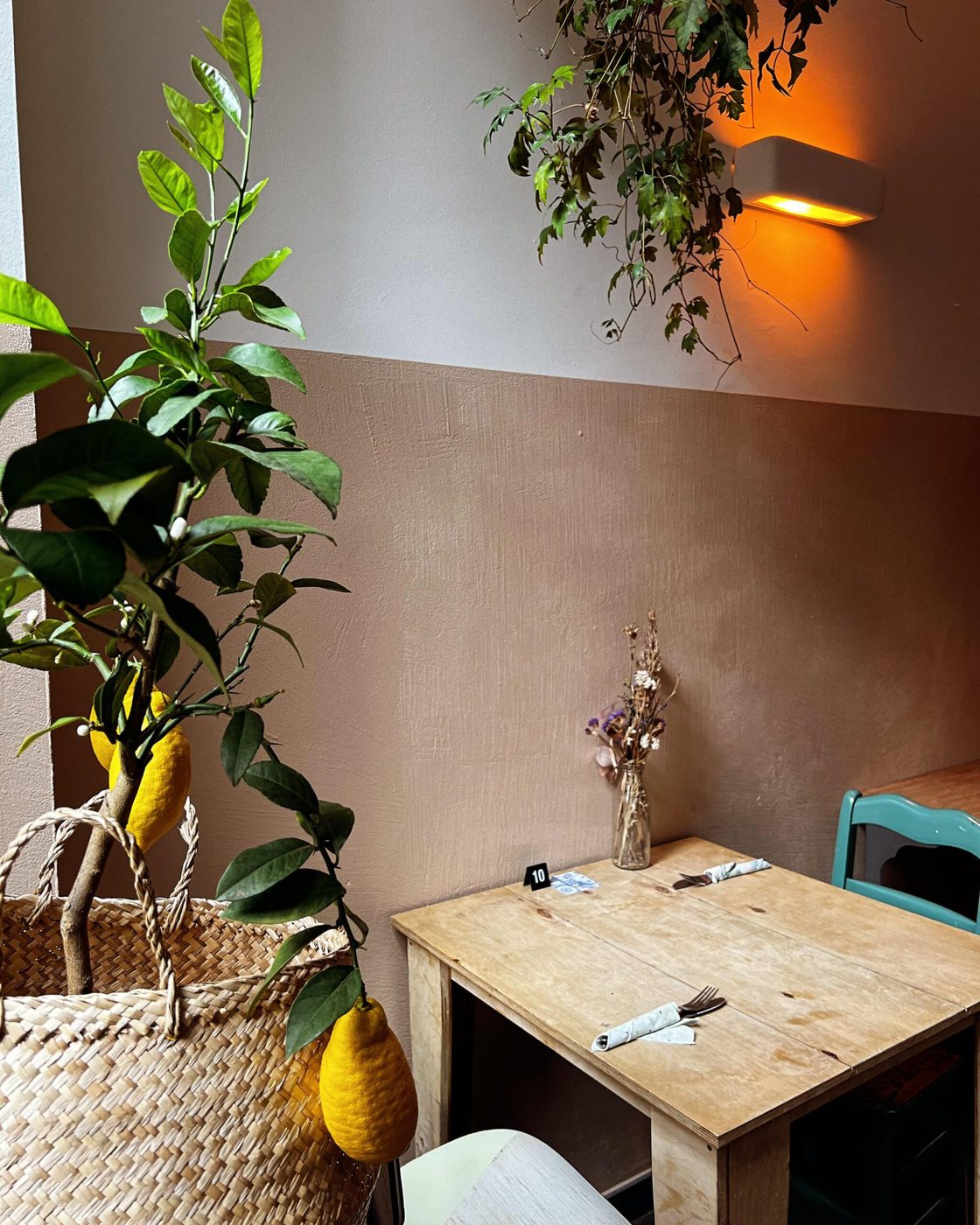 Coin de salle végétalisé de la pizzeria Biga à Schaerbeek