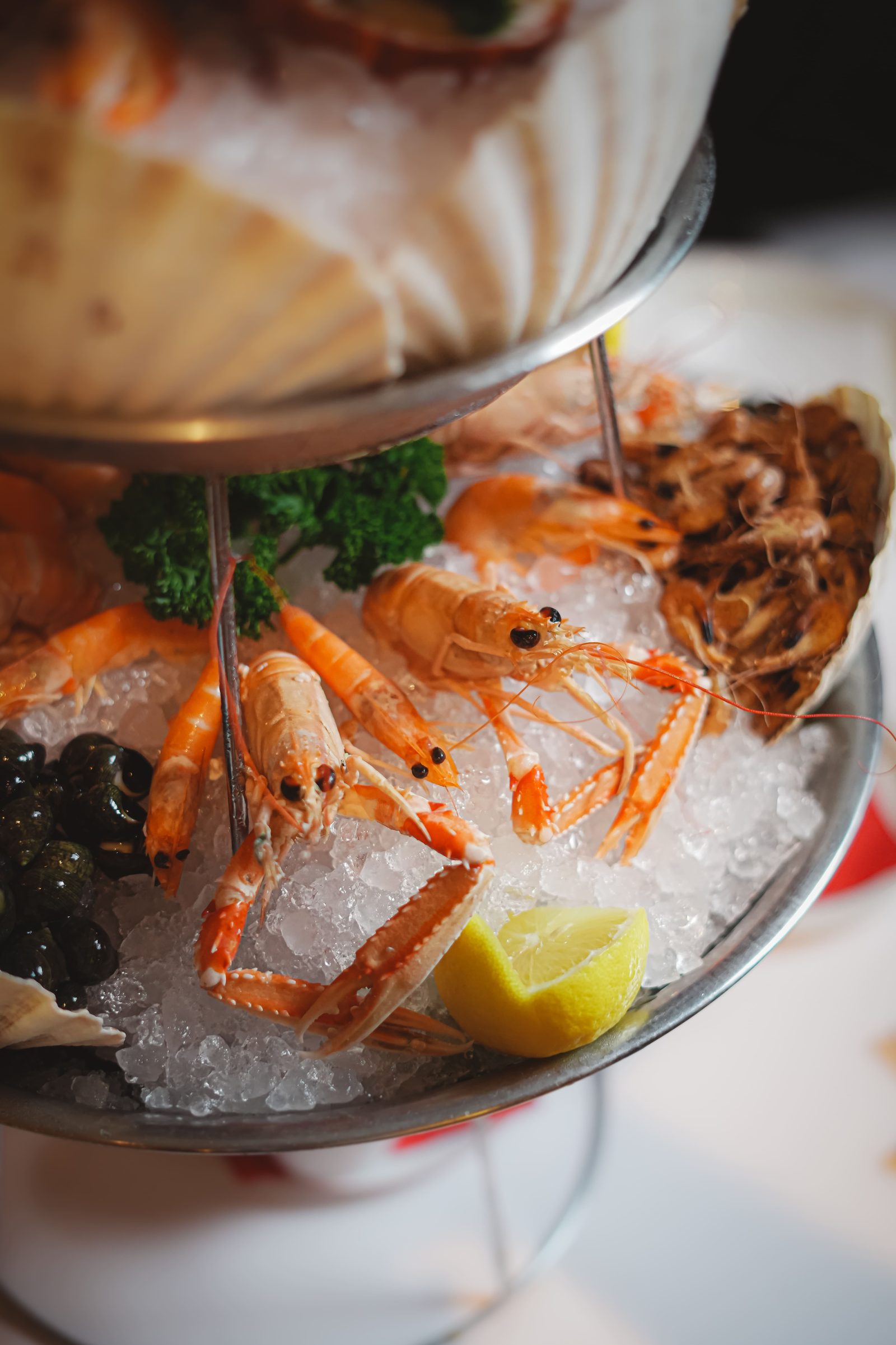 Plateau de fruits de mer sur glace servi aux Brasseries Georges