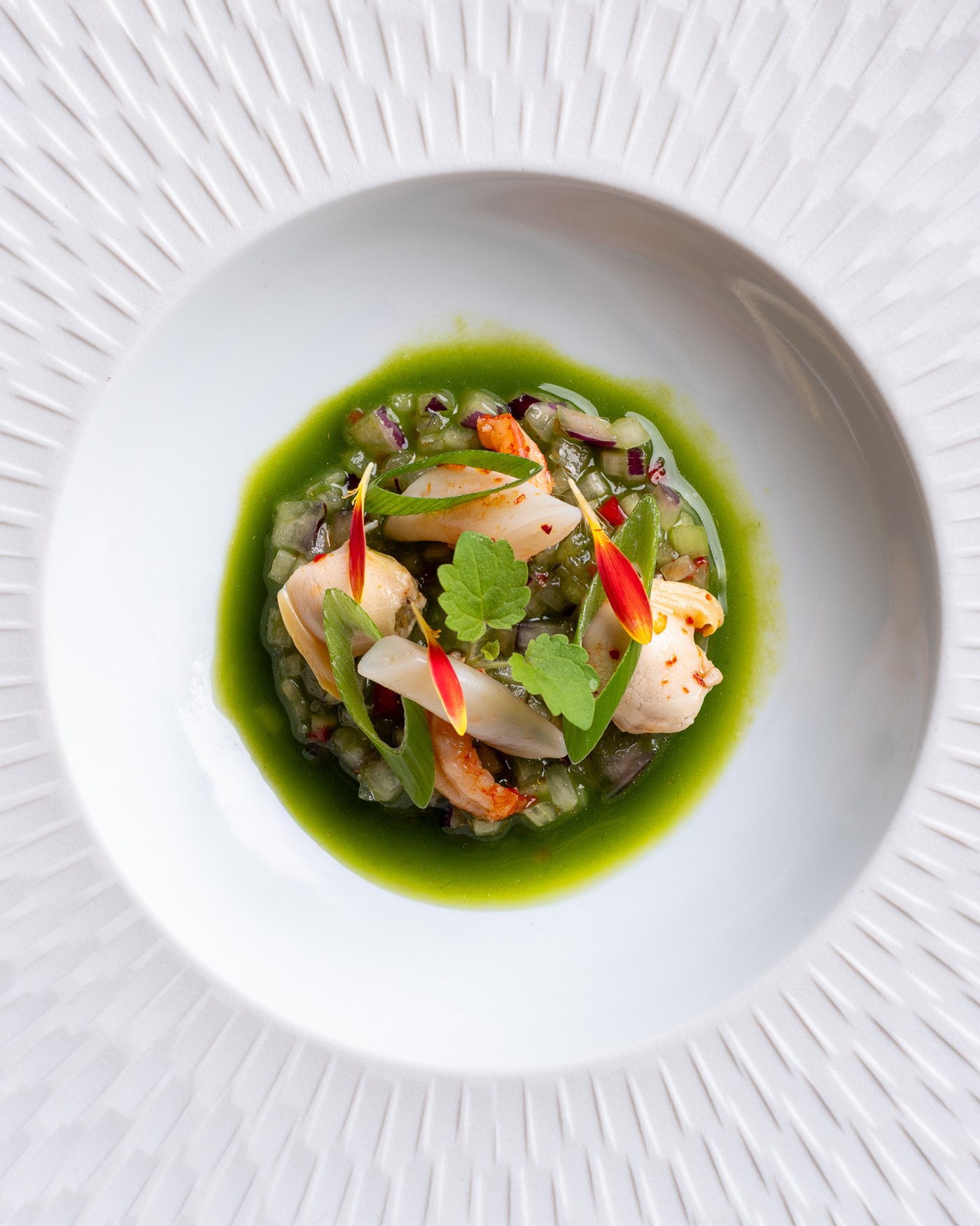 Assiette de poisson et coquillages au jus vert servie au Comme chez Soi