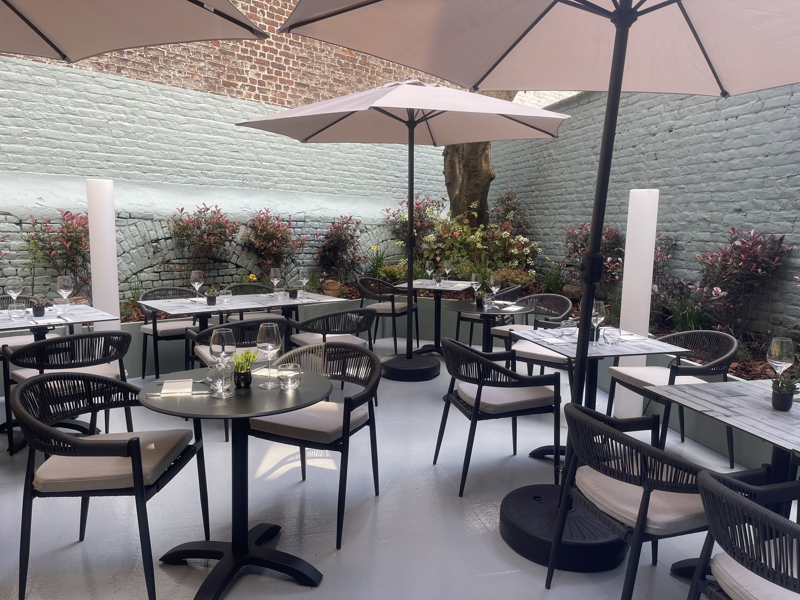 Terrasse ombragée de La Cueva de Castilla avec tables, parasols et plantes