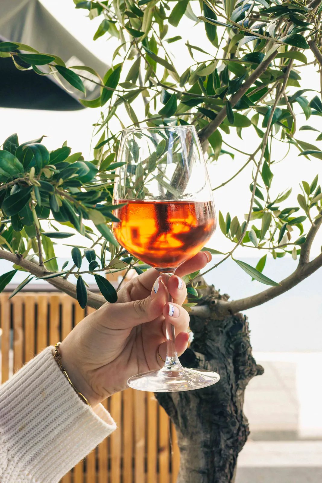 Verre d'apéritif tenu à la main devant un olivier chez Opa Wemmel