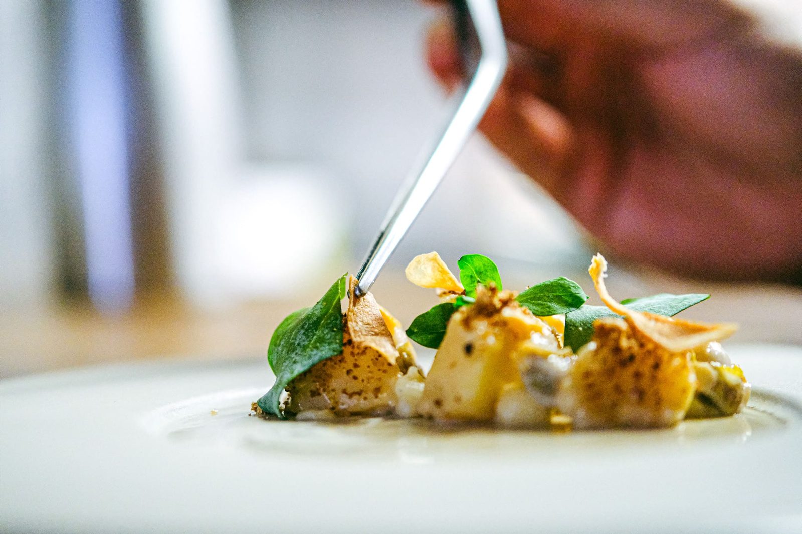Assiette de poisson dressée au restaurant Quartz