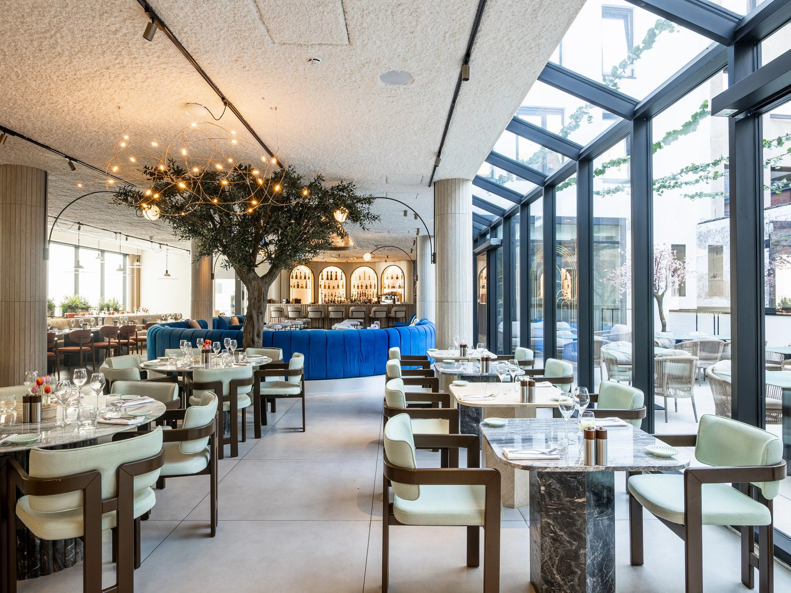 Verrière du restaurant Zeyya avec olivier lumineux et bar bleu en arrière-plan